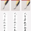 YongSheng美工钢笔教师批改专用